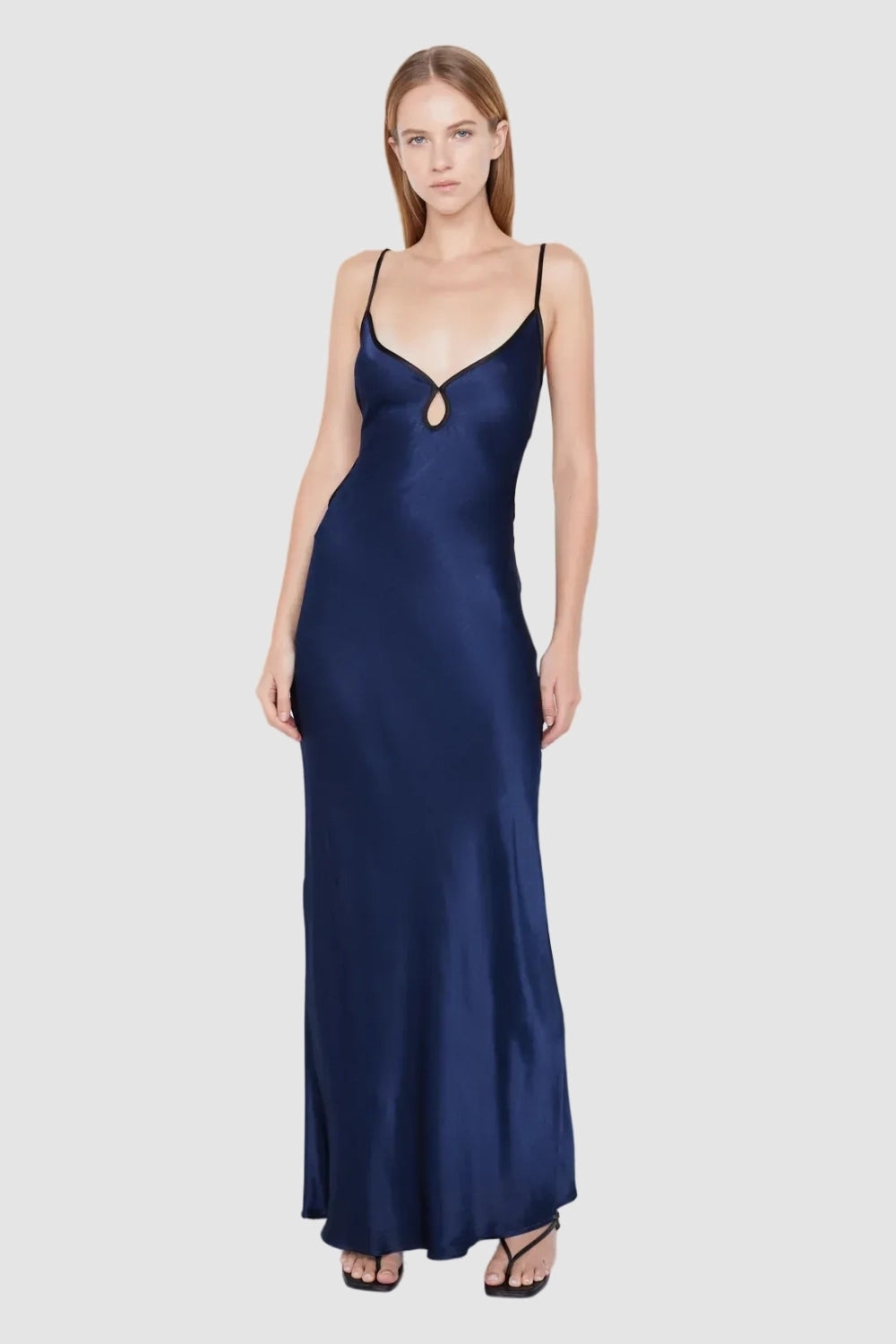 Scenery Navy Blue Dress