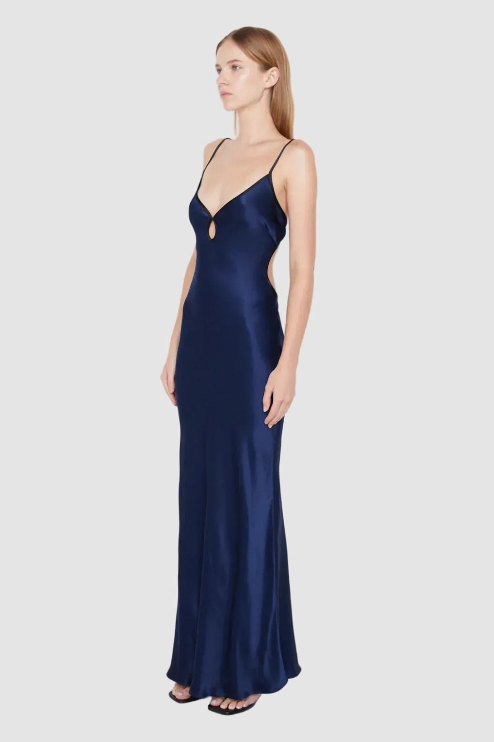 Scenery Navy Blue Dress